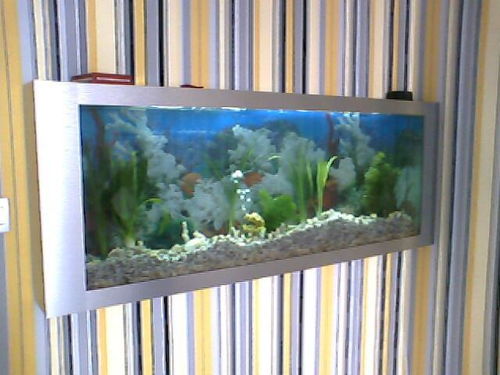 壁畫式生態(tài)魚缸006 ,重慶市藍(lán)海鷗生態(tài)魚缸廠